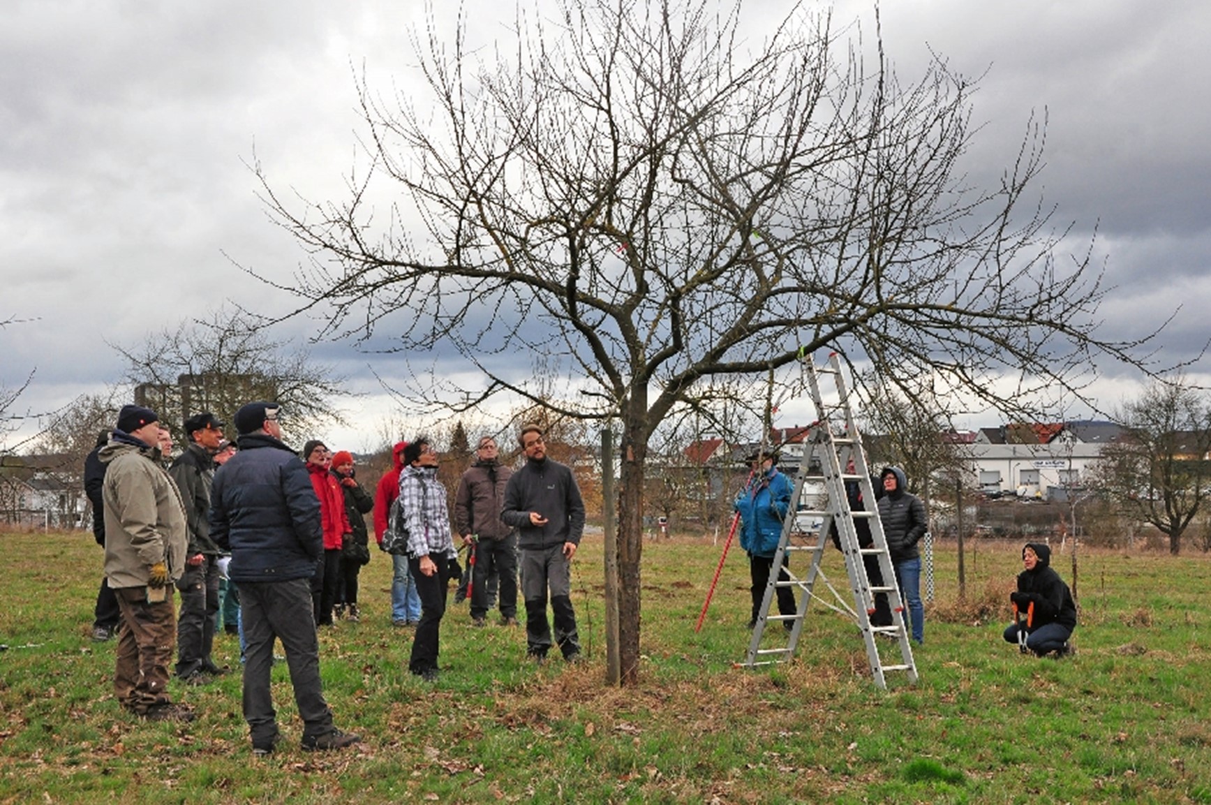 Obstbaumschnittkurs 17.02.2024